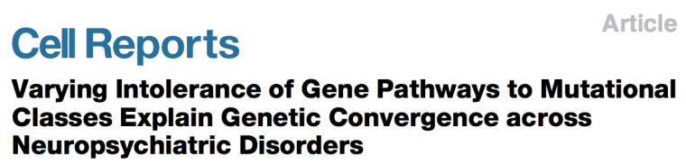 screen-shot-2017-03-04-at-3-01-19-pm