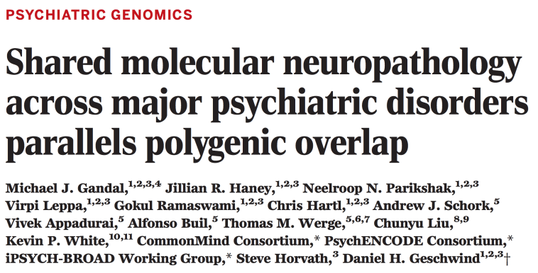 Screen Shot 2018-02-14 at 12.05.10 PM