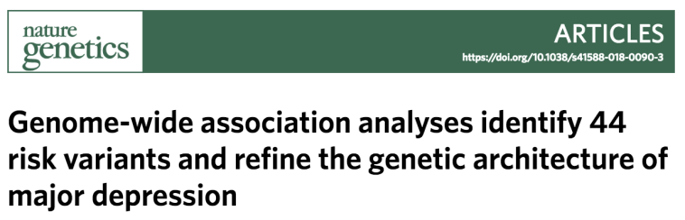 Screen Shot 2018-04-28 at 2.12.18 AM